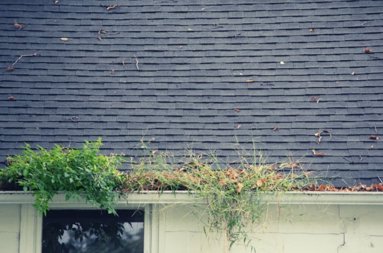 A gutter is clogged with leaves and debris. Clearing the obstructions will help keep water out of garage.