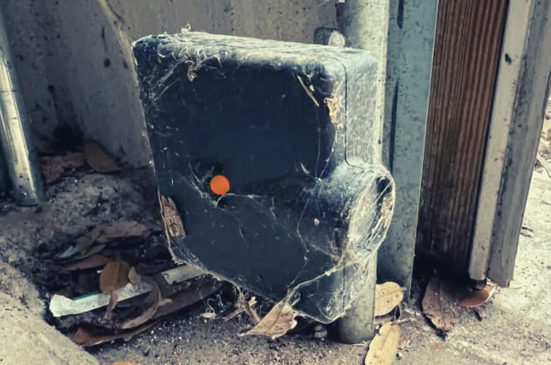 Dirt and cobwebs will block the garage door sensor light.