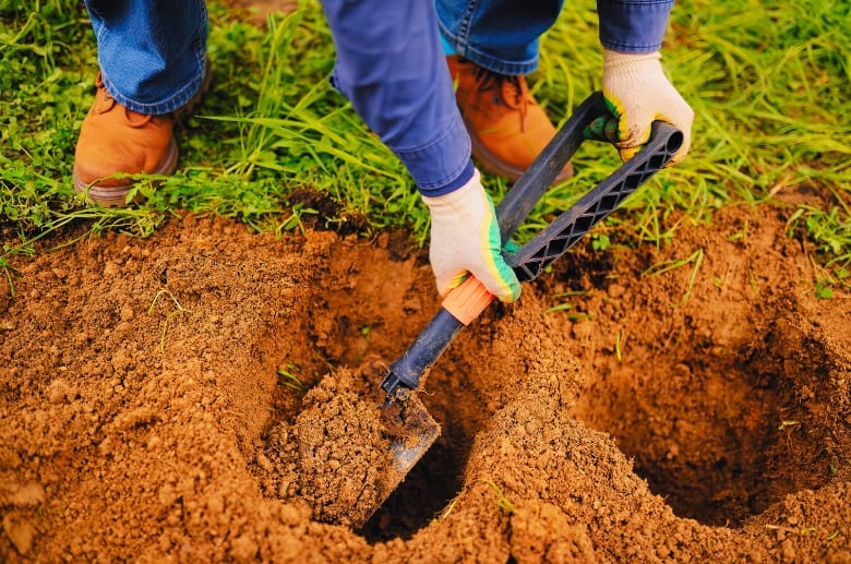 Digging soil with a shovel.