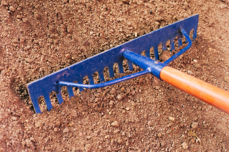 A rake to level the soil